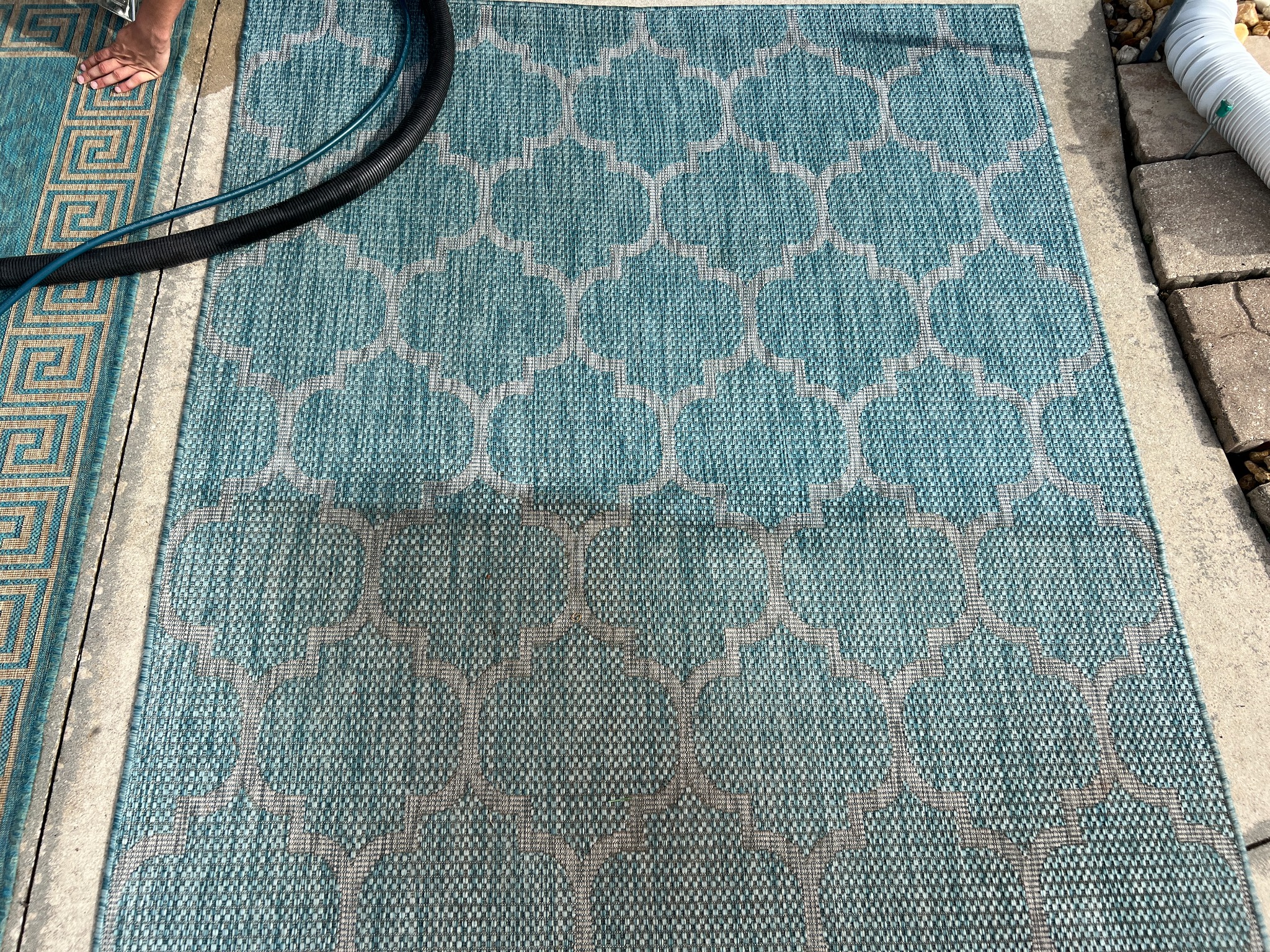 Area rug cleaning project