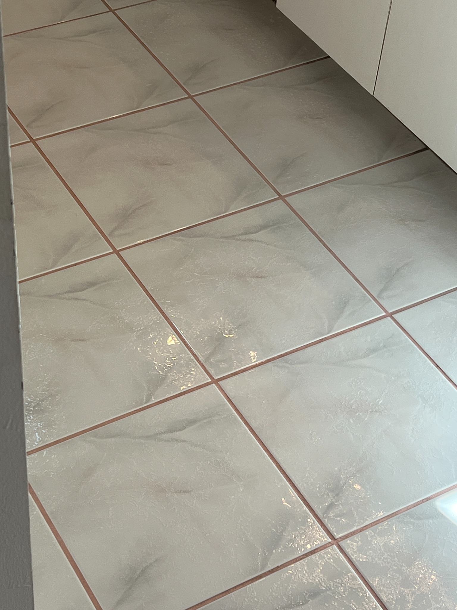 Tile and grout cleaning project